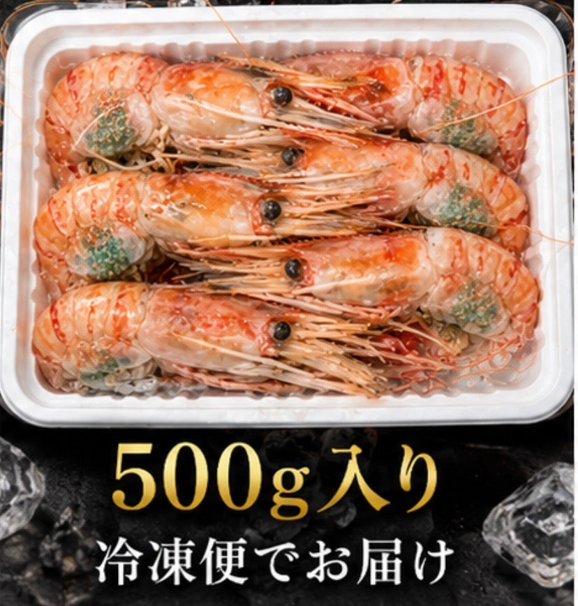 【卵付きで贅沢濃厚】刺身用 ボタンエビ 1匹から