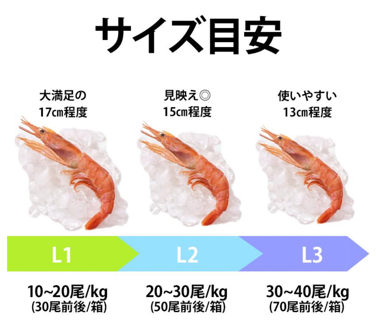 【最大サイズのみ使用】刺身用アルゼンチン赤エビ 1kg 約15尾前後｜大型サイズ・殻付き・頭付き・生食用