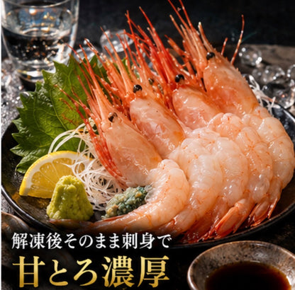 【卵付きで贅沢濃厚】刺身用 ボタンエビ 1匹から