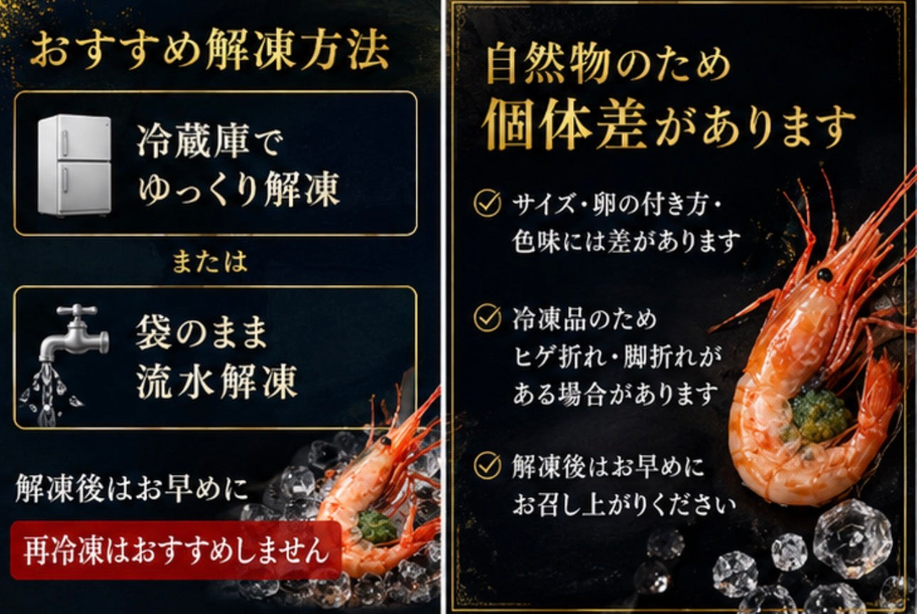 【卵付きで贅沢濃厚】刺身用 ボタンエビ 1匹から