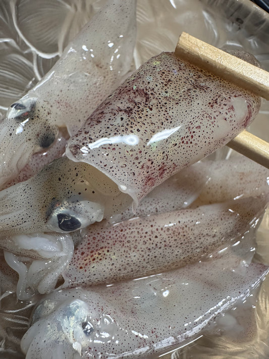 【丸ごと生でかぶりつく。】三陸ベビーヤリイカ 100g｜刺身用・岩手県産