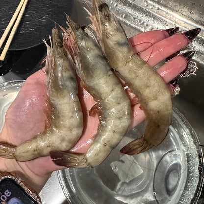【ブリッブリ食感】お刺身用バナメイエビ １キロ