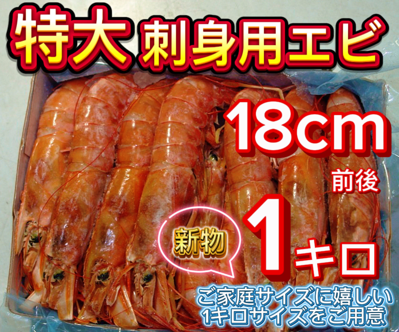 【最大サイズのみ使用】刺身用アルゼンチン赤エビ 1kg 約15尾前後｜大型サイズ・殻付き・頭付き・生食用