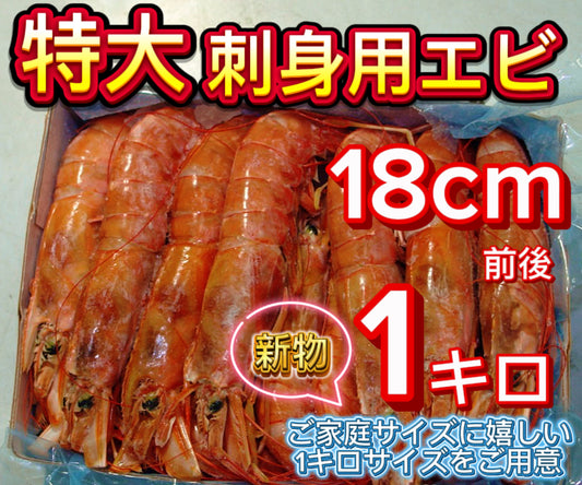 【最大サイズのみ使用】刺身用アルゼンチン赤エビ 1kg 約15尾前後｜大型サイズ・殻付き・頭付き・生食用