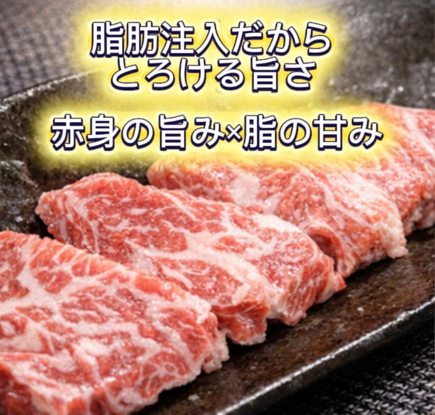 【とろける濃厚食感】脂肪注入の訳あり霜降り馬刺し200g/500g / 1kg / 2kg