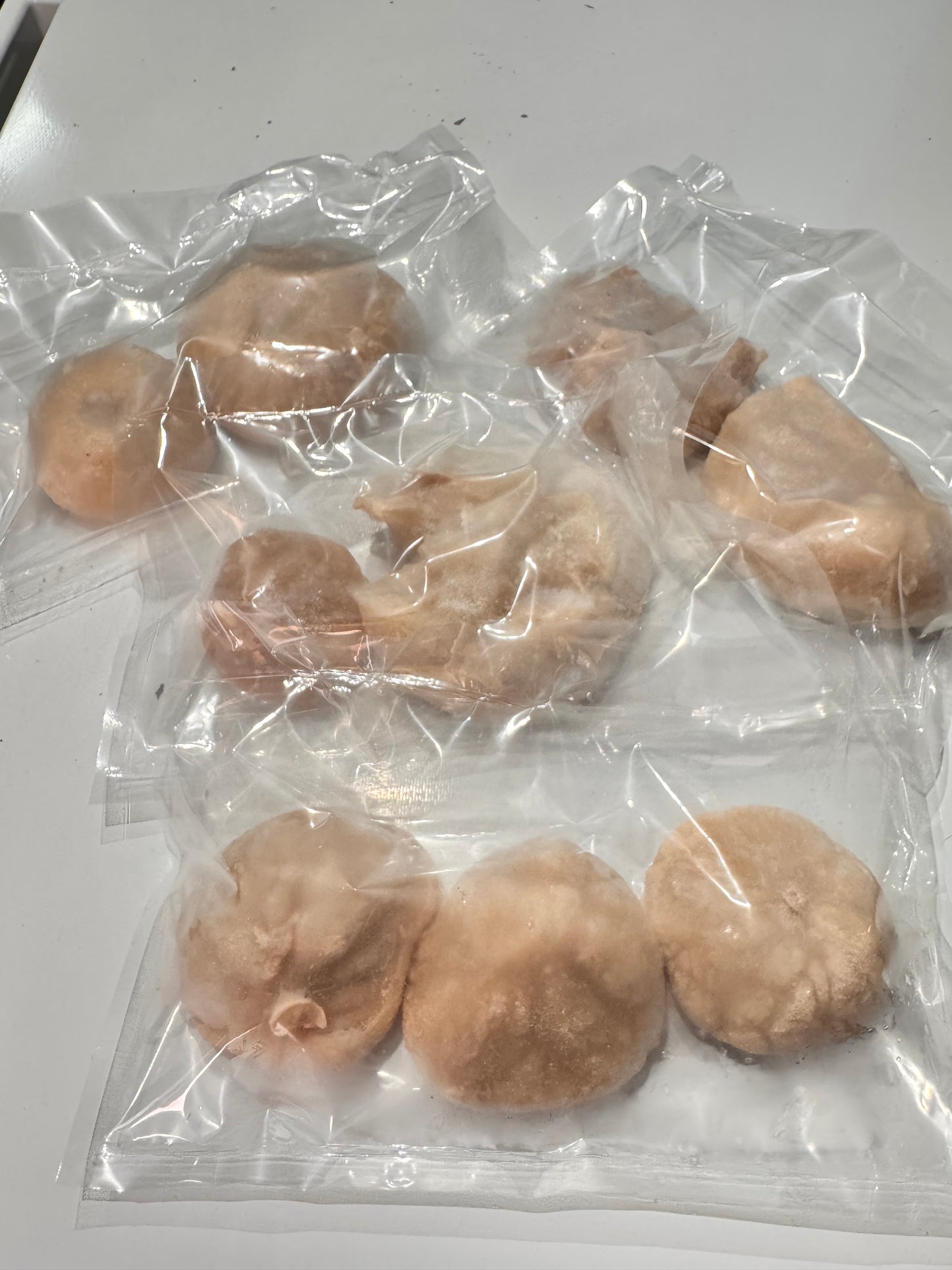限定4セット‼️ 【北海道鹿部産｜活〆北海たこの白子 約450g】