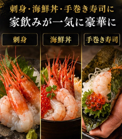 【卵付きで贅沢濃厚】刺身用 ボタンエビ 1匹から