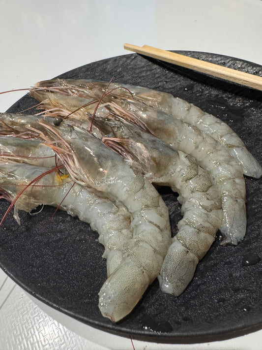 【ブリッブリ食感】お刺身用バナメイエビ １キロ