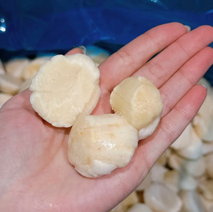 【北海道産】訳ありホタテ貝柱 1kg｜刺身用・しみ・割れ・欠け・大小MIX