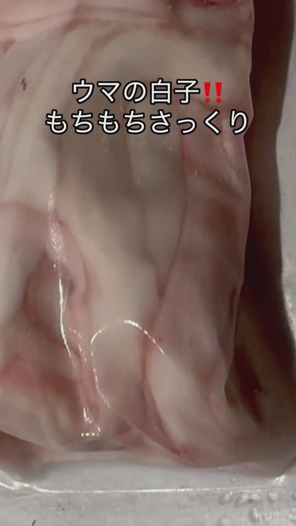 新発売【もちもちさっくり】馬の白子